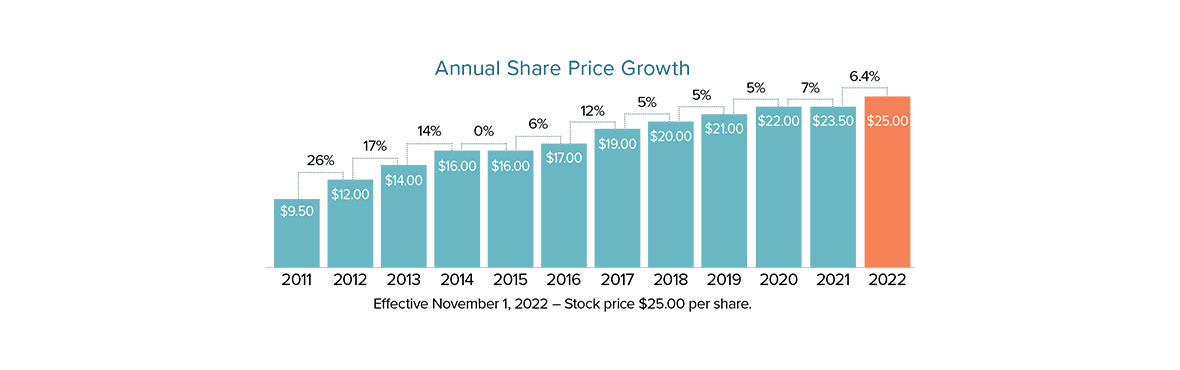 Chart of 2022 Share Price Growth